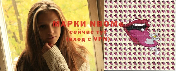 прущие грибы Каменск-Шахтинский