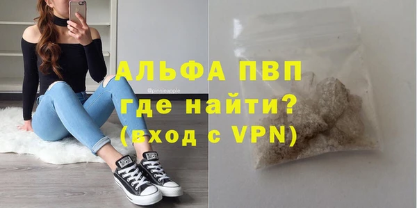 PSILOCYBIN Каменногорск