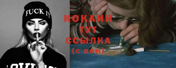 прущие грибы Каменск-Шахтинский