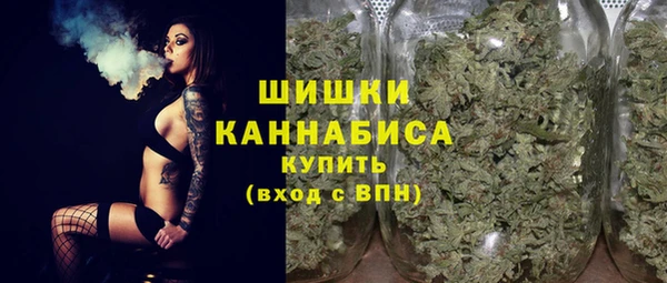 прущие грибы Каменск-Шахтинский