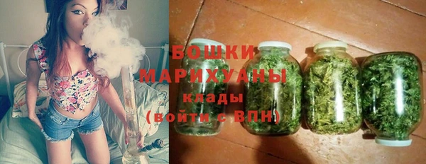 прущие грибы Каменск-Шахтинский