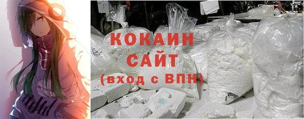 прущие грибы Каменск-Шахтинский
