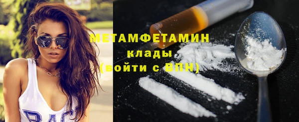 прущие грибы Каменск-Шахтинский