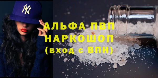 PSILOCYBIN Каменногорск