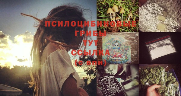 mix Каменка