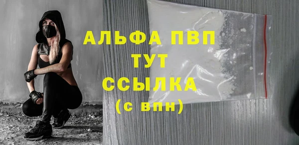 прущие грибы Каменск-Шахтинский