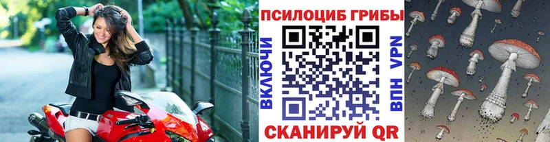 купить  сайты  Карабаново  это формула  Псилоцибиновые грибы прущие грибы  omg tor 